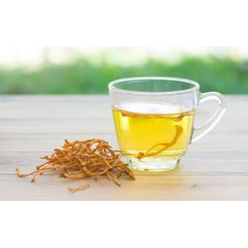 Hình Dạng Nấm Đông Trùng Hạ Thảo