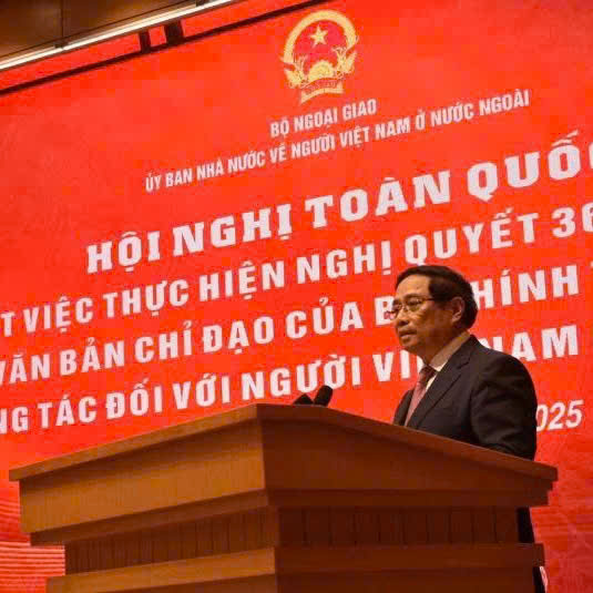 Đẩy Mạnh 3 Đột Phá Nhằm Nâng Cao Vai Trò Cộng Đồng Người Việt Ở Nước Ngoài