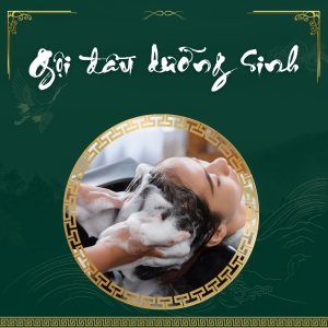 Gội Đầu Dưỡng Sinh