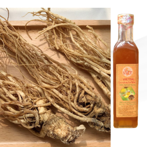 Sâm đương quy có tốt không?