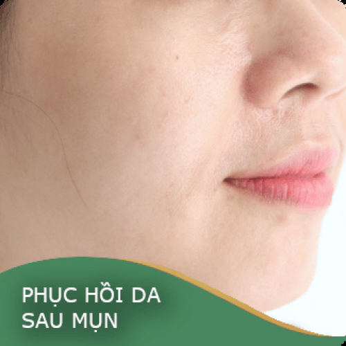 Lĩnh vực hoạt động