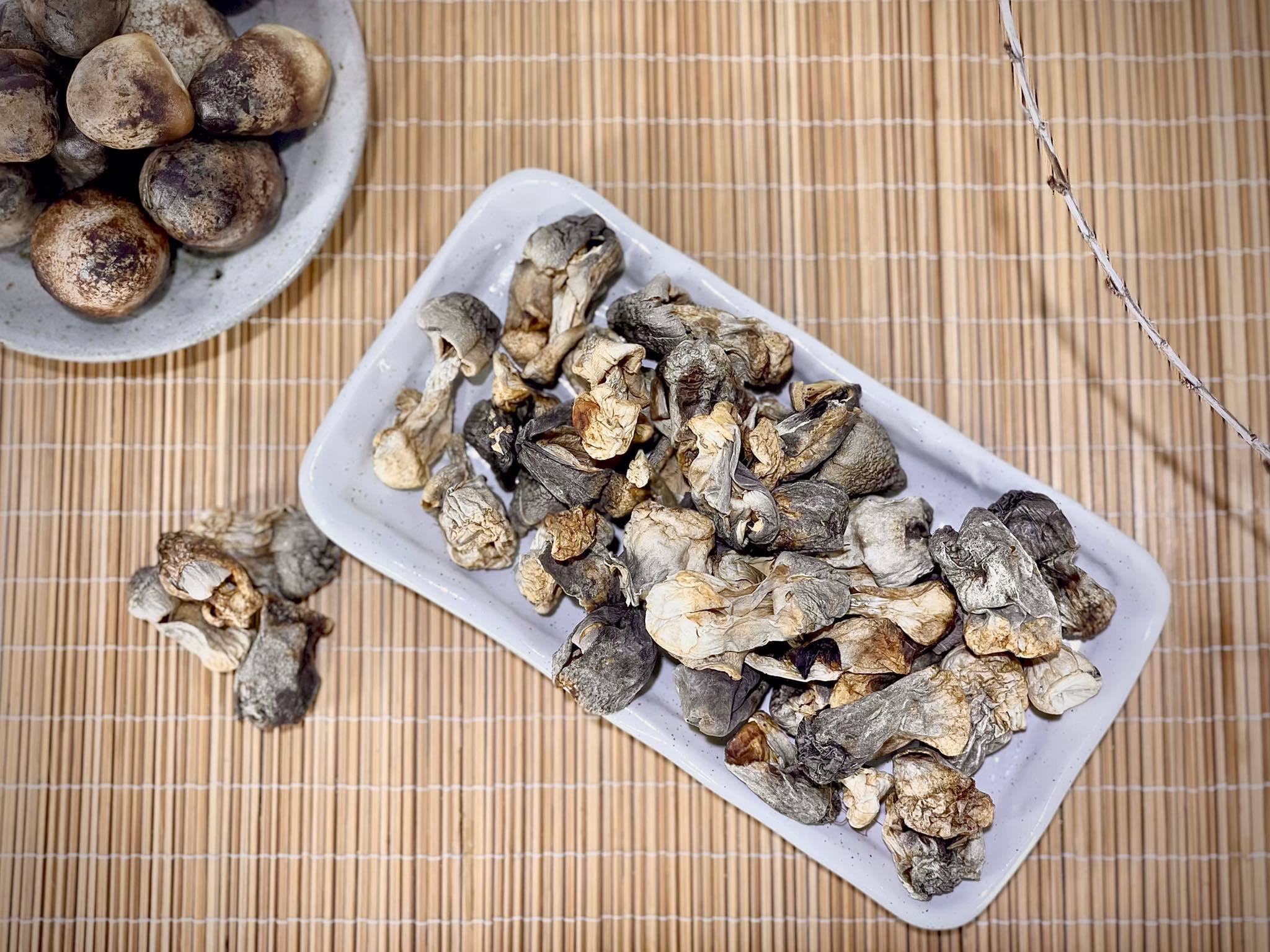 Màu sắc nấm rơm