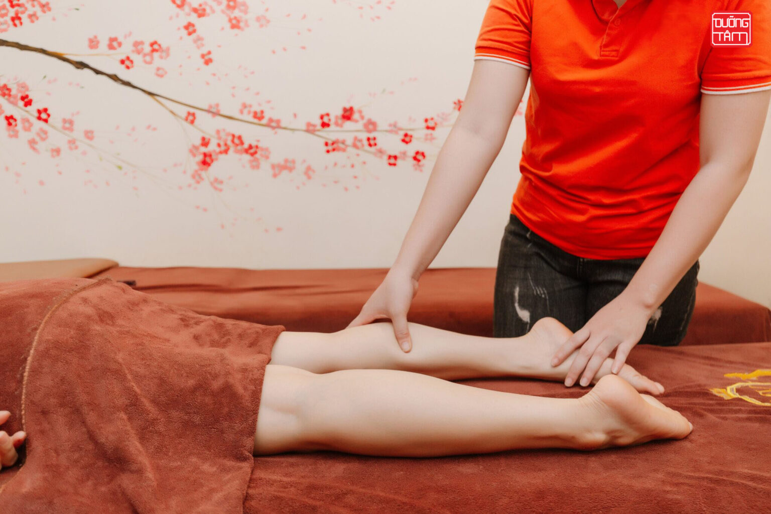 Liệu Trình Bài Tán Phong Hàn