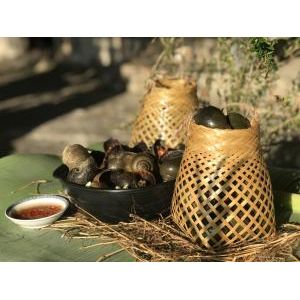 Người có hệ tiêu hóa yếu, tiêu chảy