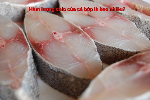 100g cá bớp chứa bao nhiêu calo?