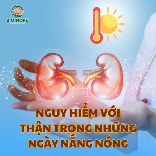 Thận Có Thể Gặp Nguy Trong Những Ngày Nắng Nóng Và Bí Quyết Vàng Giúp Bảo Vệ Thận