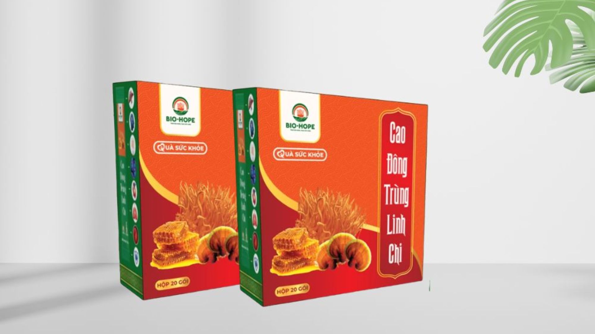 Nấm linh chi giúp an thần, cải thiện giấc ngủ như thế nào?