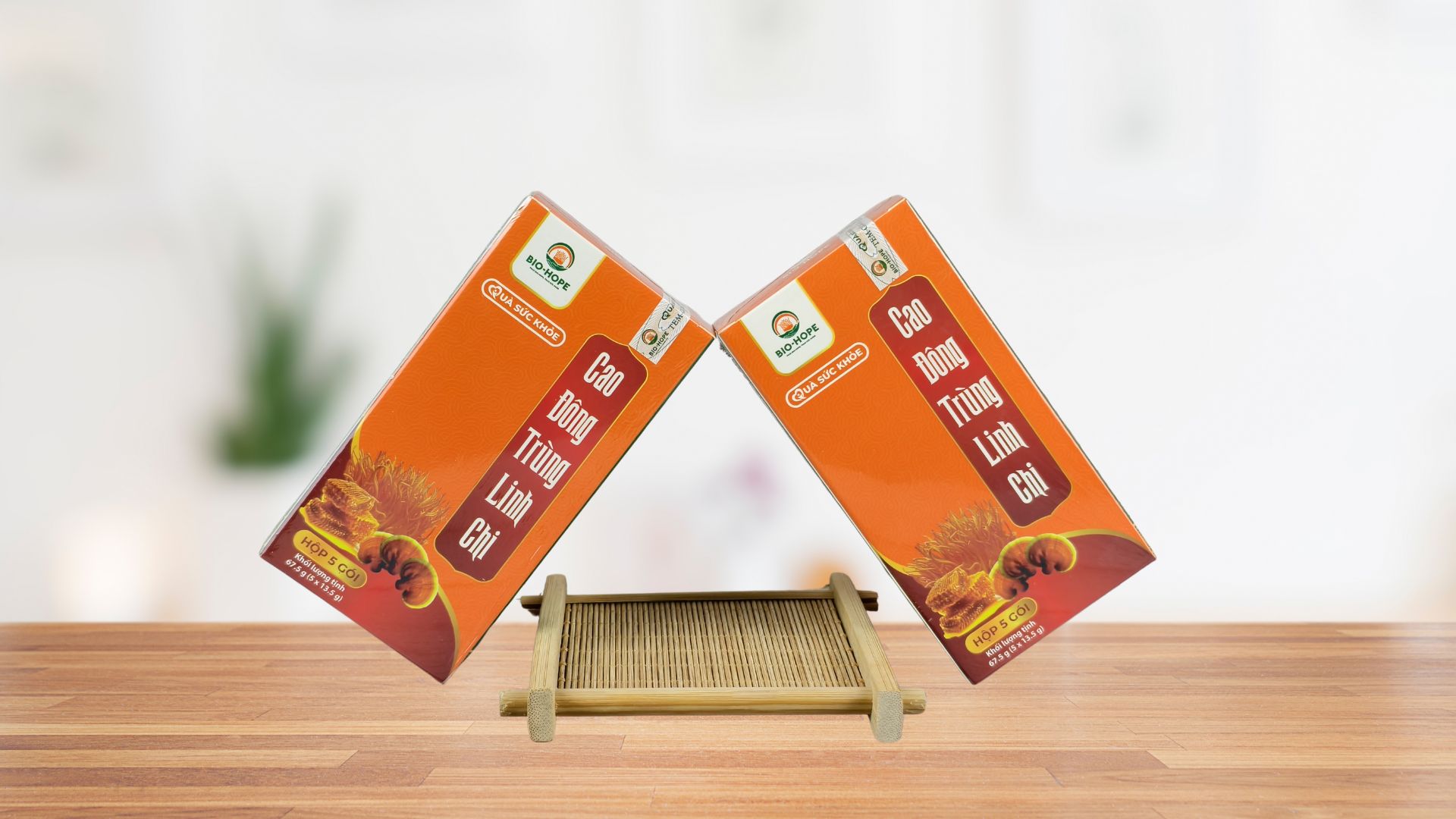 Nấm linh chi và khả năng cải thiện tuần hoàn máu