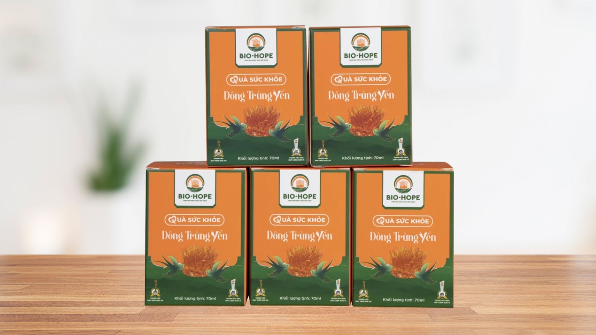 Cách sử dụng Đông Trùng Hạ Thảo để hỗ trợ tiêu hóa