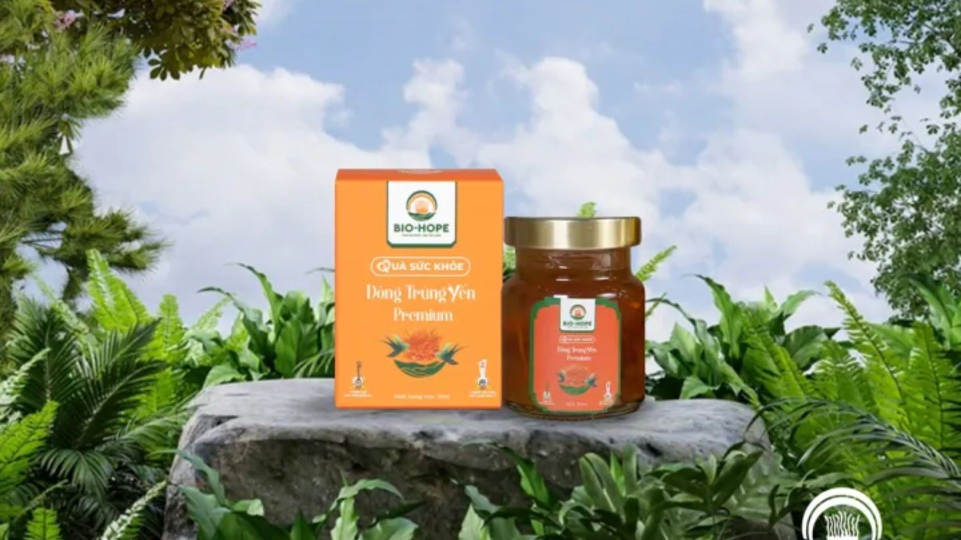 Cách sử dụng yến sào để phát huy tác dụng tốt nhất