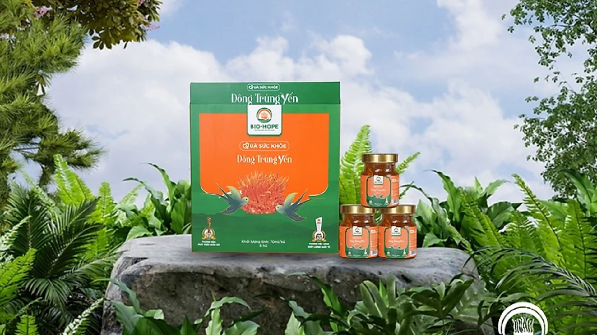 1. Yến sào chứa những dưỡng chất gì giúp làm đẹp da?