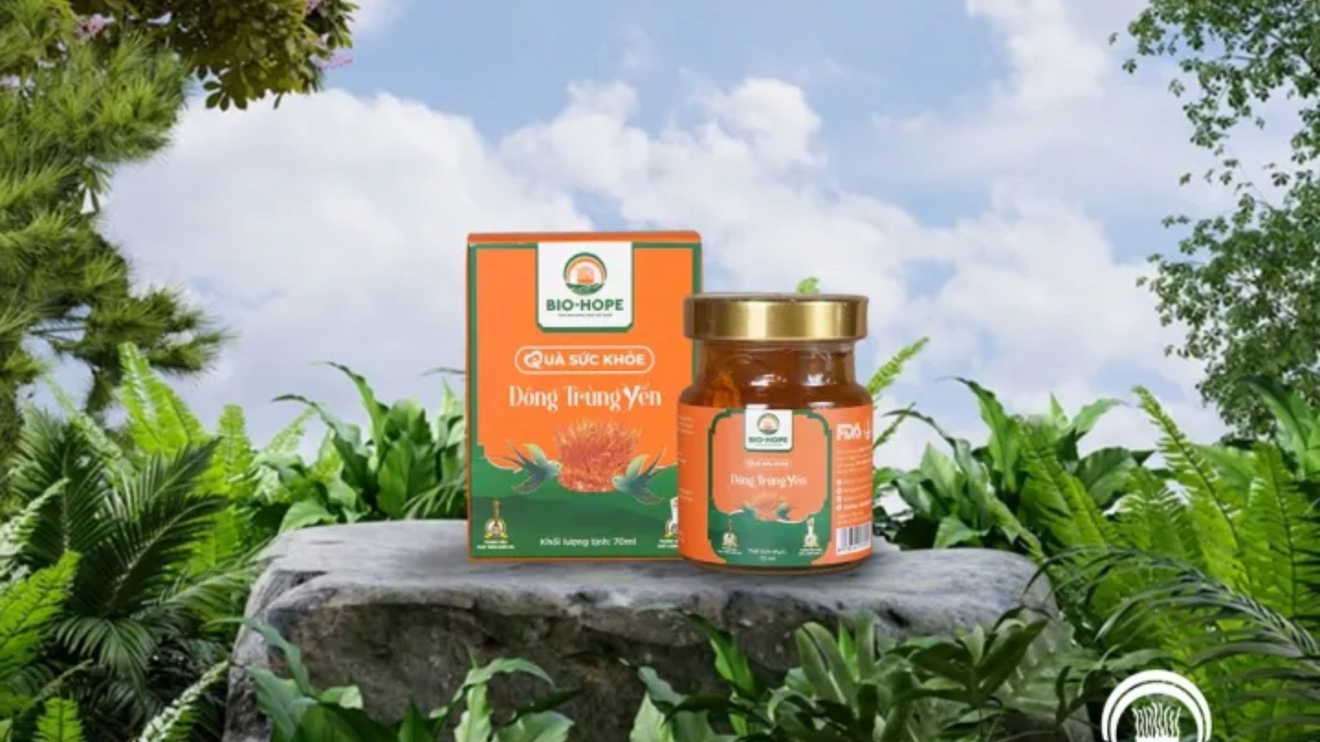 Cơ chế giúp Đông Trùng Hạ Thảo bảo vệ tim mạch