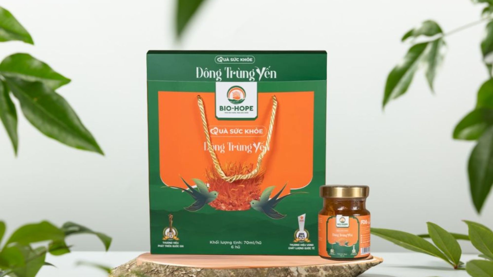 Tại sao Đông Trùng Hạ Thảo tốt cho hệ tiêu hóa?