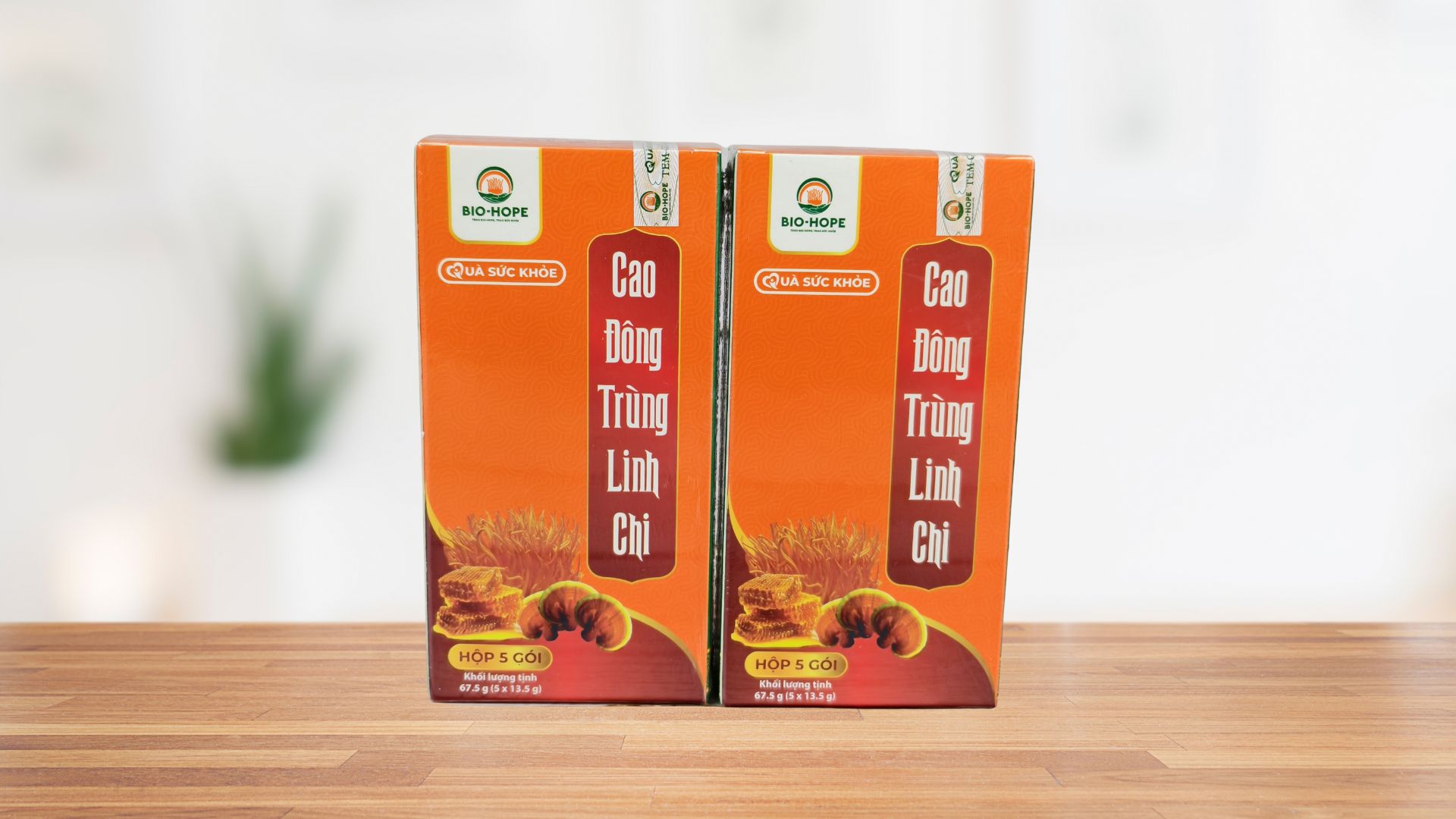 Cách sử dụng nấm linh chi hiệu quả cho người muốn bảo vệ tim mạch