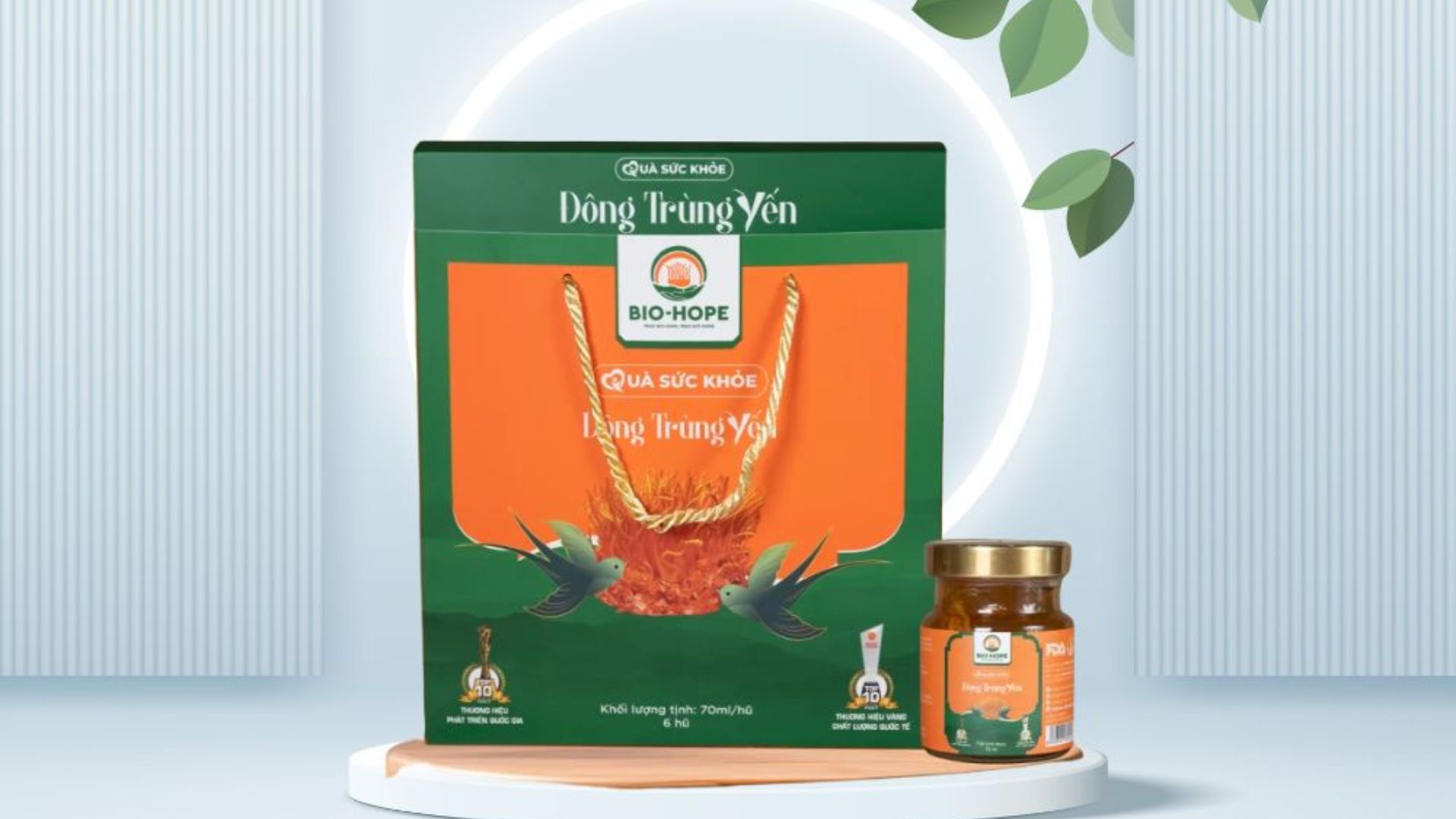 Đông Trùng Hạ Thảo giúp cải thiện tiêu hóa như thế nào?