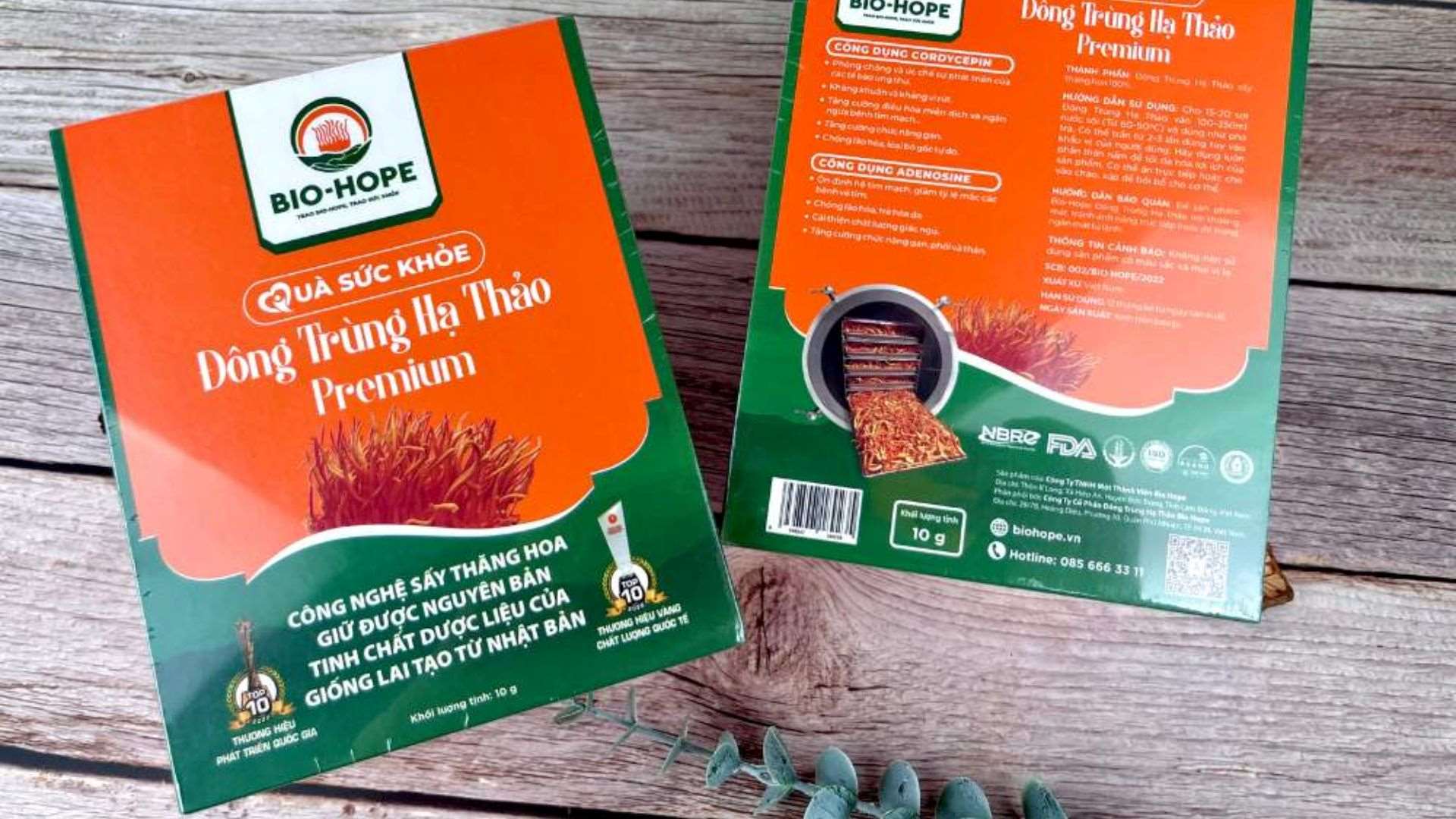 Những ai nên sử dụng đông trùng hạ thảo?