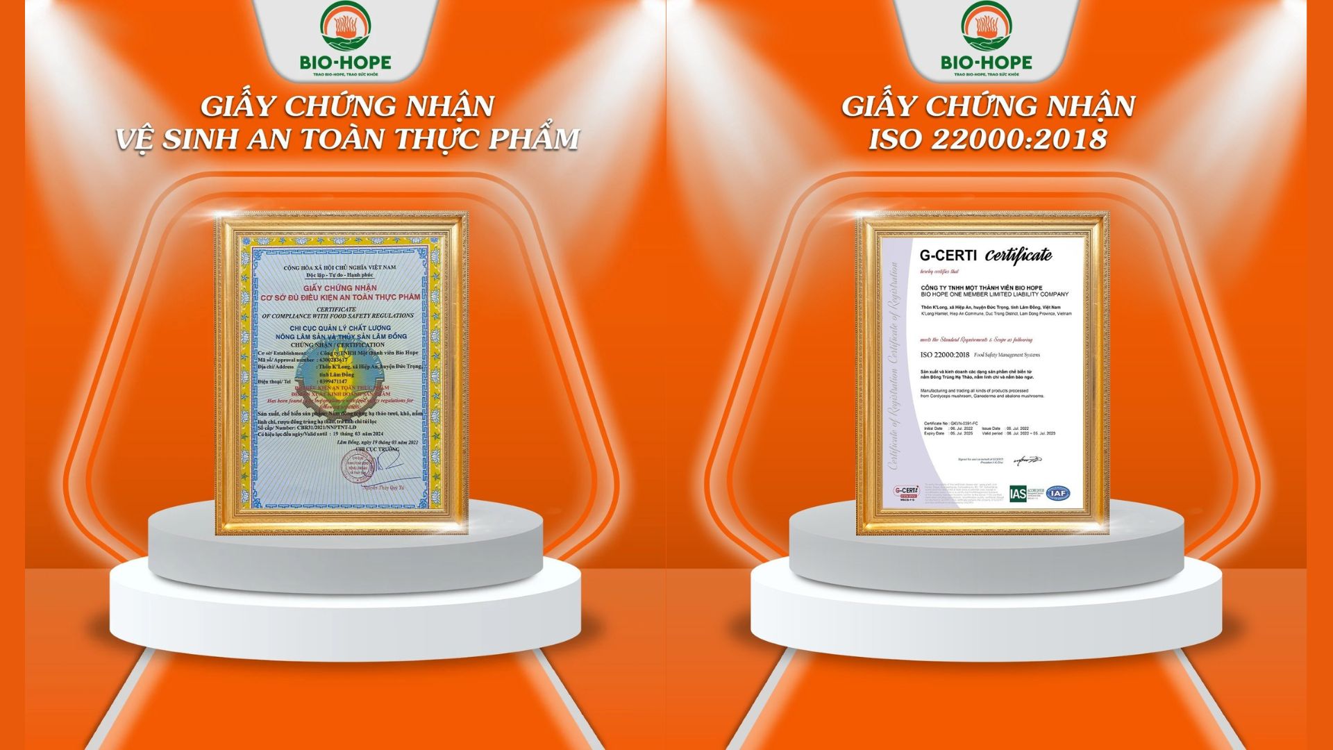 2. Tiêu chuẩn sản xuất khắt khe – nền tảng của chất lượng