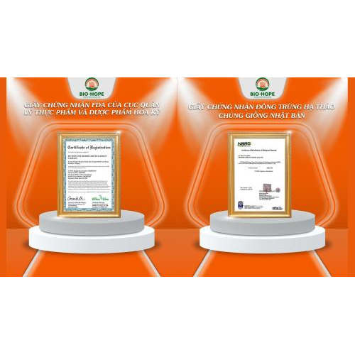 2. Tiêu chuẩn sản xuất khắt khe – nền tảng của chất lượng