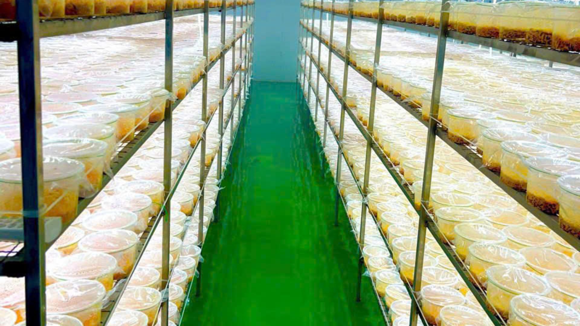 2. Quy trình sấy không chuẩn – “Điểm yếu” thường bị bỏ qua