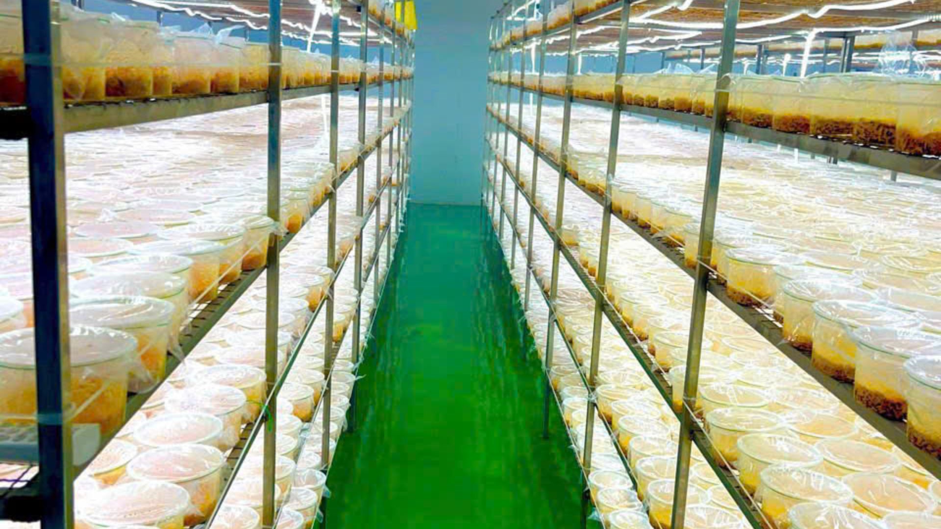 4. Công nghệ chế biến & bảo quản – Yếu tố giữ trọn tinh hoa