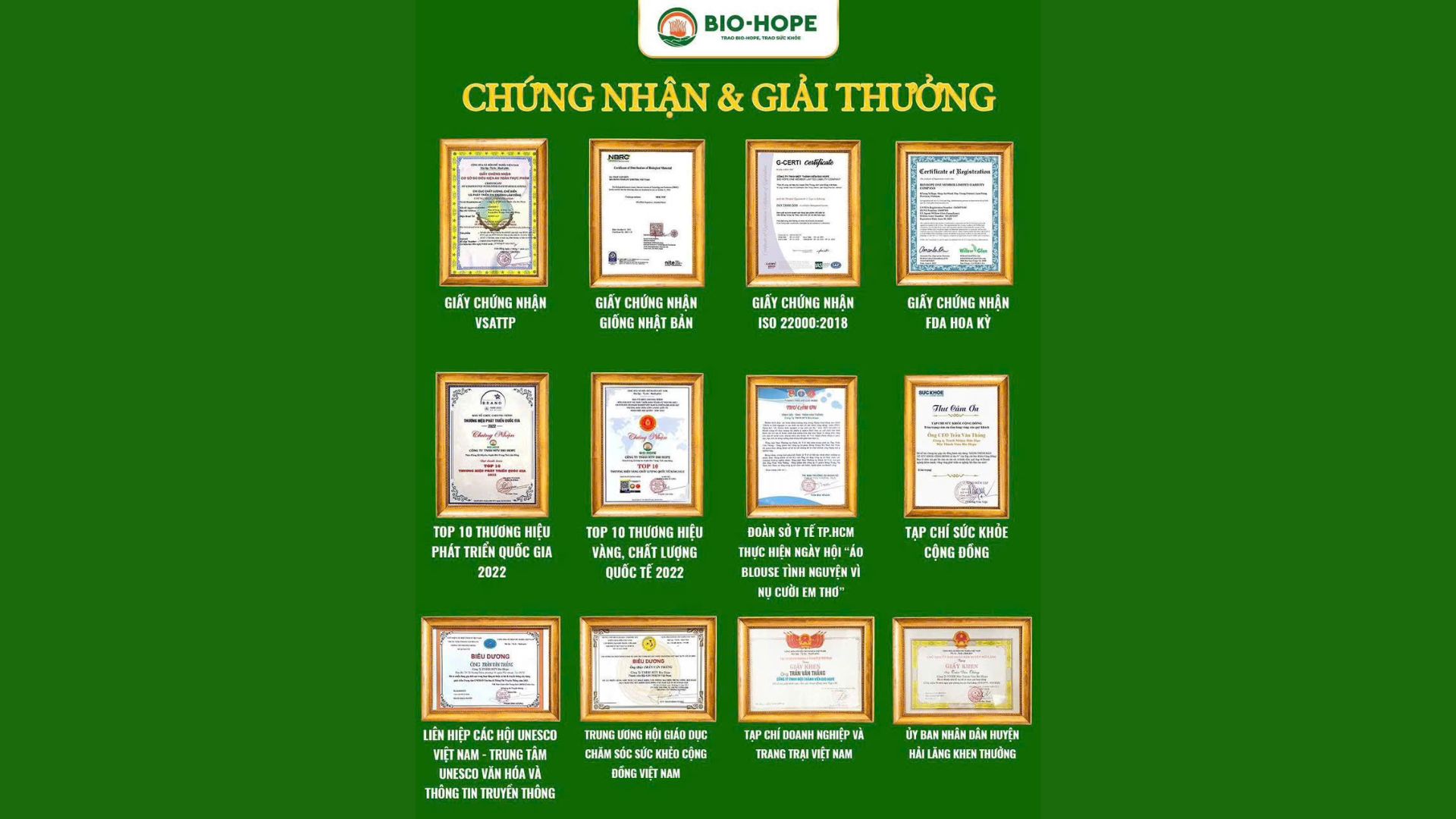 5. Thương hiệu & chứng nhận – Bảo chứng cho niềm tin