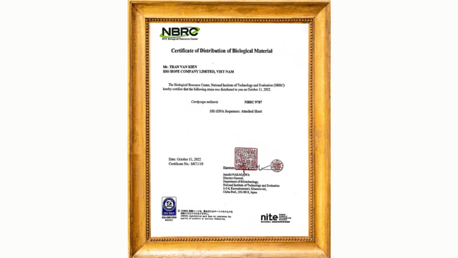 3. Hàm lượng dược chất – Thước đo giá trị thật