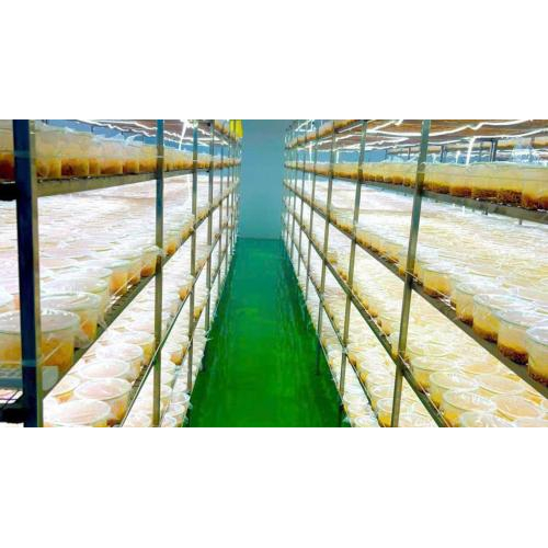 4. Công nghệ chế biến & bảo quản – Yếu tố giữ trọn tinh hoa