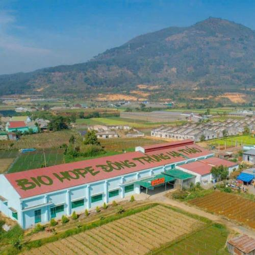 5 Tiêu Chí Giúp Bạn Chọn Đông Trùng Hạ Thảo Chất Lượng – Tránh Mất Tiền Oan!