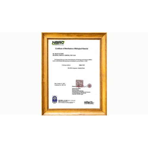 3. Hàm lượng dược chất – Thước đo giá trị thật