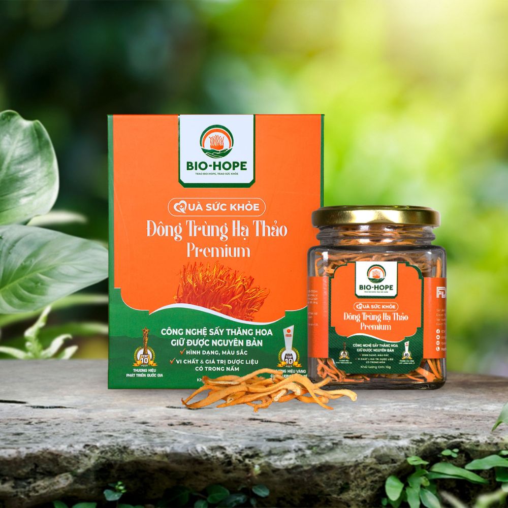 Các Chất Có Trong Đông Trùng Hạ Thảo