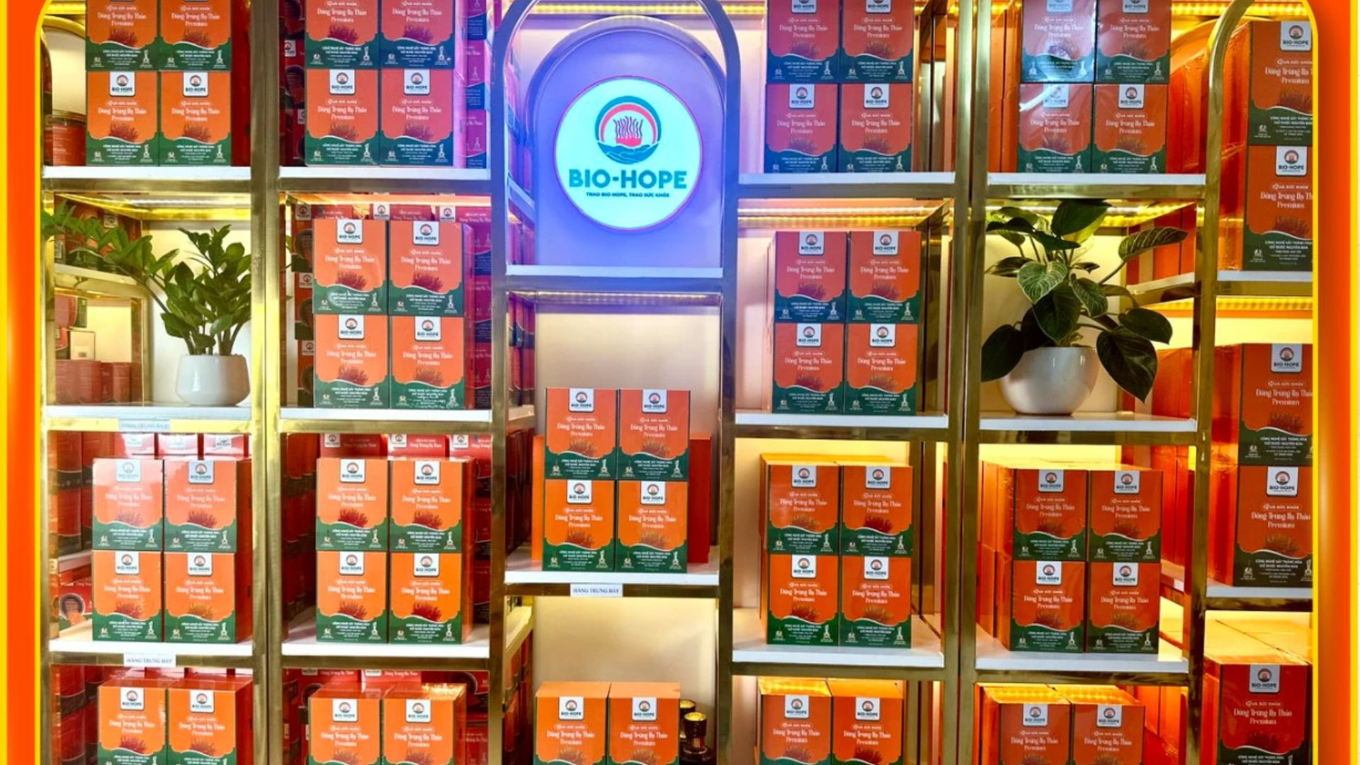 4. Thiết kế sang trọng