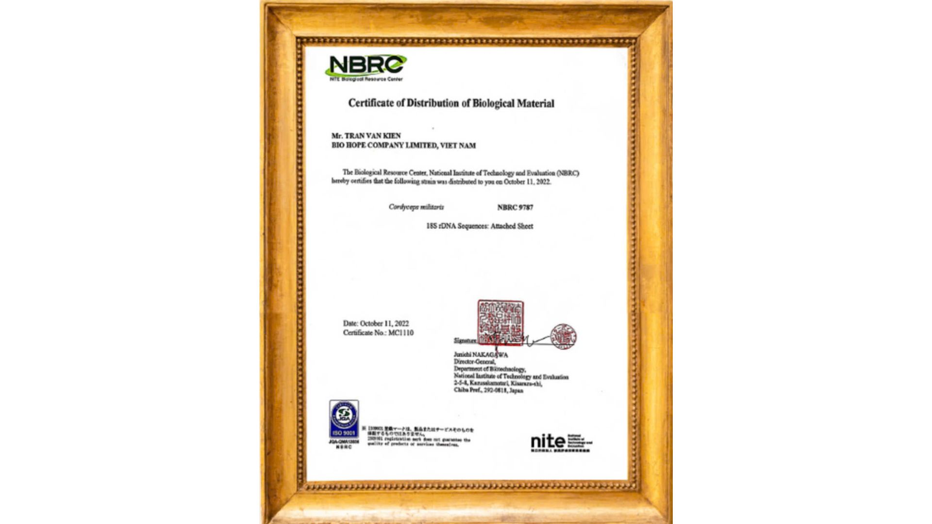 3. Hàm lượng dược chất