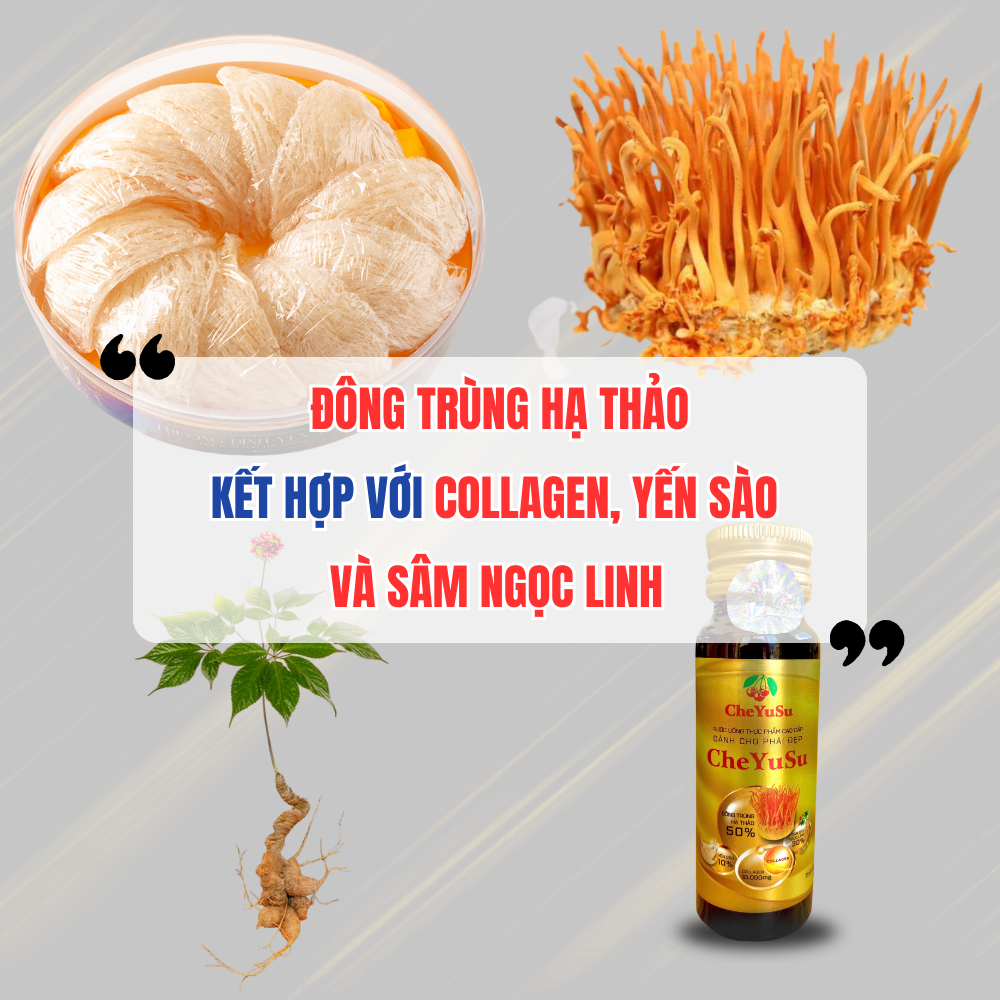 Đông Trùng Hạ Thảo Kết Hợp Với Collagen, Yến Sào Và Sâm Ngọc Linh