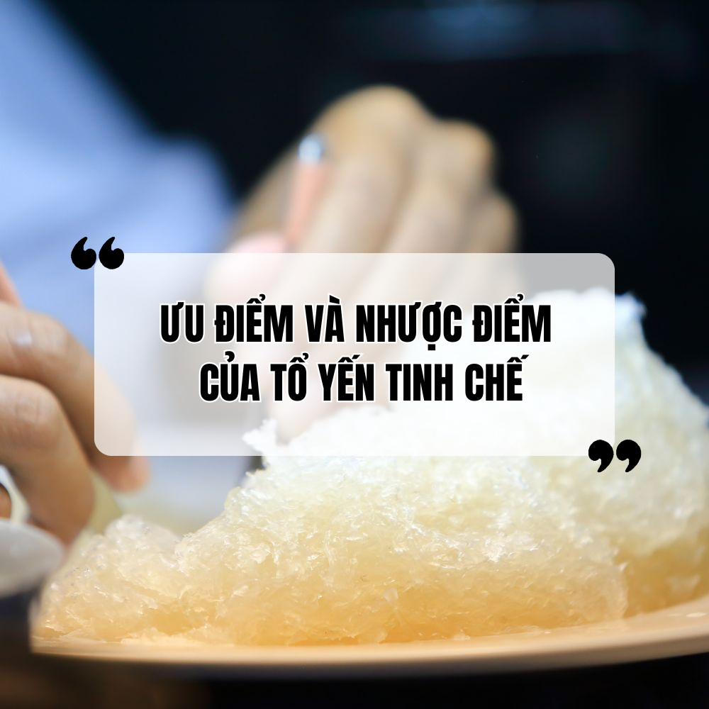 Tổ Yến Tinh Chế Là Gì? Ưu Và Nhược Điểm Của Tổ Yến Tinh Chế