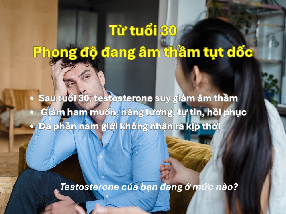 I. Giới thiệu