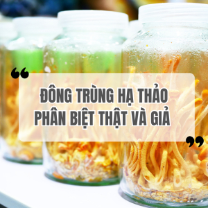 Đông Trùng Hạ Thảo: Cách Phân Biệt Thật Giả Để Bảo Vệ Sức Khỏe