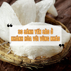 So Sánh Yến Sào Khánh Hòa Với Yến Sào Ở Các Vùng Khác
