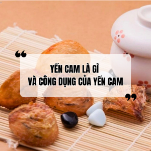 Yến Cam Là Gì? Công Dụng Của Yến Cam Đối Với Sức Khỏe Con Người