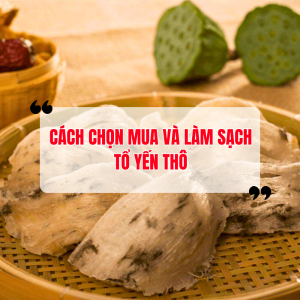 Cách Chọn Mua Tổ Yến Thô Chất Lượng. Cách Làm Sạch Tổ Yến Thô Đơn Giản Tại Nhà