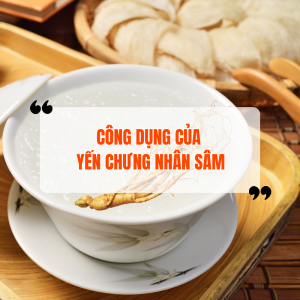 Yến Chưng Nhân Sâm Có Công Dụng Gì? Cách Làm Yến Chưng Nhân Sâm Bổ Dưỡng Nhất