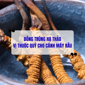 Đông Trùng Hạ Thảo - Vị Thuốc Quý Rất Cần Cho Cánh Mày Râu