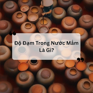 Độ Đạm Trong Nước Mắm Là Gì? Có Phải Độ Đạm Càng Cao Mắm Càng Ngon?