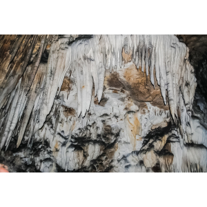 1. Yến sào Khánh Hòa
