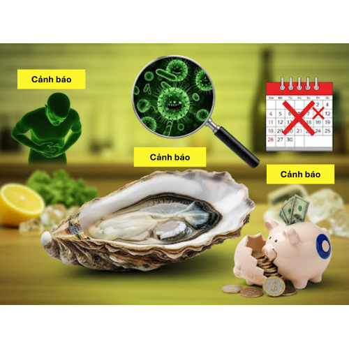 1. Hàu tươi – lợi ích thật nhưng không dành cho tất cả