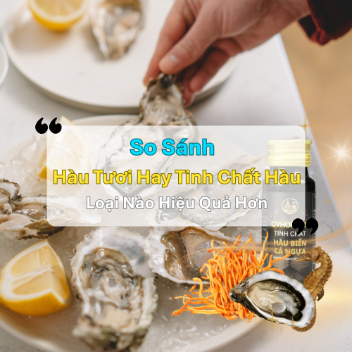 So Sánh: Hàu Tươi Hay Tinh Chất Hàu – Loại Nào Hiệu Quả Hơn