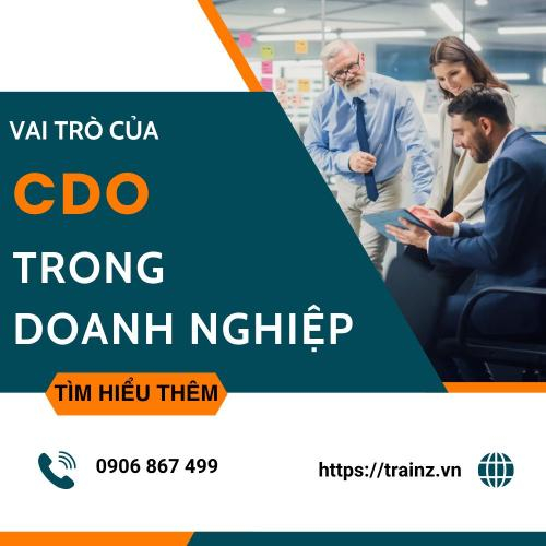Vai Trò Của CDO (Chief Digital Officer) Trong Doanh Nghiệp