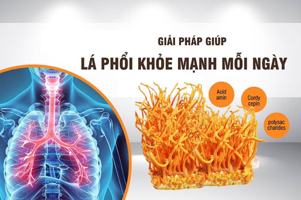 Tăng cường hệ hô hấp