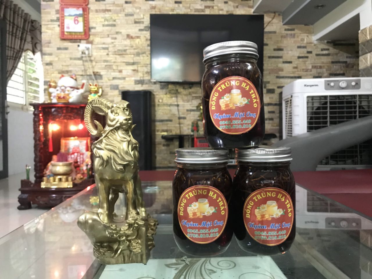 Cách dùng đông trùng hạ thảo ngâm mật ong