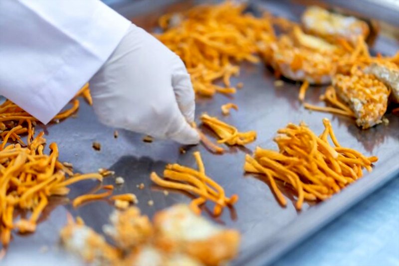 Lựa chọn đơn vị cung cấp thiếu uy tín