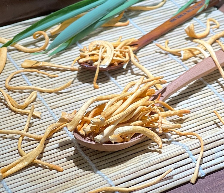 Ưu điểm và nhược điểm của đông trùng hạ thảo sấy thăng hoa